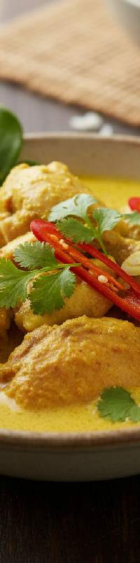 Opor Ayam